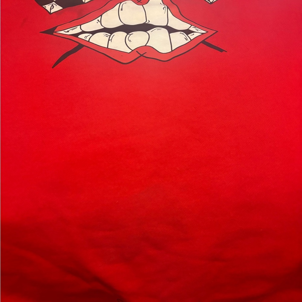 Matty Boy flames Hoodie